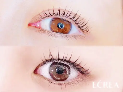 パリジェンヌラッシュリフト👀🎀✨(メニュー変更不可)