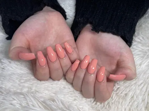 ❤︎ワンカラー/グラデーション