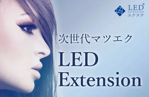 LEDフラットラッシュ100本まで(オフ込み)