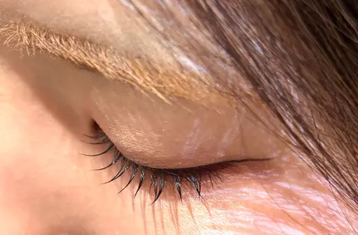 ✶9月16・18日限定✶ PARISIENNE LASH LIFT👀💜