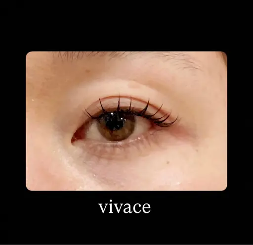 【モデル募集】✨バインドロック80束