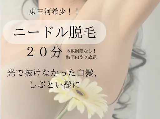 話題のニードル脱毛【20分】美容電気脱毛