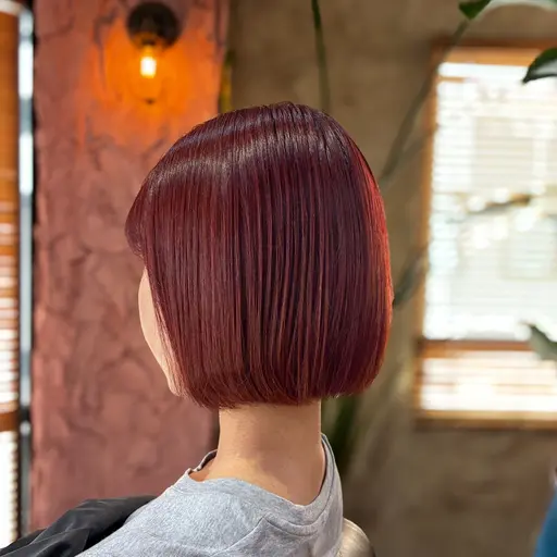 【高発色ケアカラー🙋🏼♀️】カット+艶カラー+3stepトリートメント