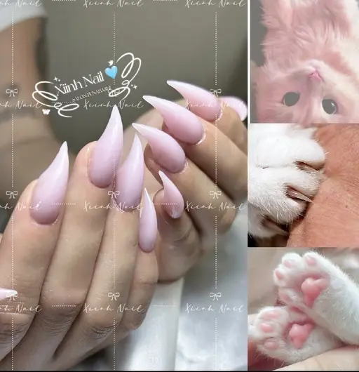 🩵話題<猫爪Dual form> ワンカラー・ラメ・マグネット・フラッシュ✨ ⚠️店長指名のみ受付‼️