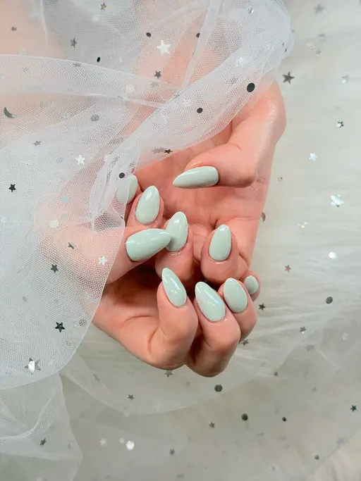 【新規限定】ワンカラー/マグネット選択OK💅✨(オフあり)