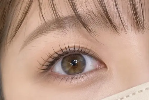 🐈気まぐれ当日限定🐾🫧似合わせまつげパーマ(ナチュラル/韓国風/束感etc.)−100円ok✨