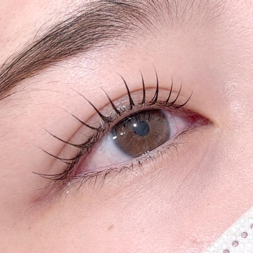 【👀♡すっぴんでも盛れる✨】まつ毛パーマ+無料束間コーティング付き🎀