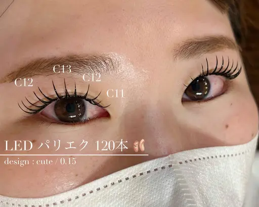 【7/28~8/3限定】 LEDパリエク120本 120分ブラックのみ ¥2200