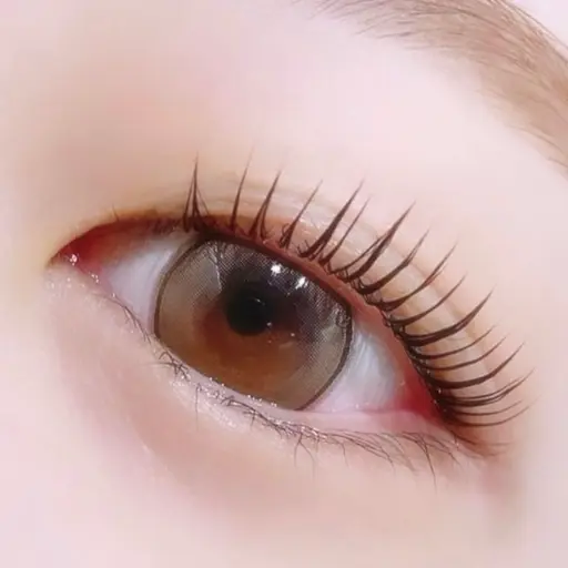 ♡‬‬ミニモ限定♡‬‬上下まつげパーマ🎶束感トリートメント仕上げ付き✨