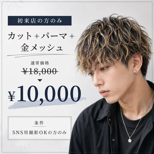 【先着1名様限定‼️】カット+メンズパーマ(種類何でも⭕️)+金メッシュ ハイライト 通常¥18000→¥10000