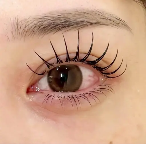 マツエクモデル募集👀🎀✨(オフなし)  施術時間60分前後