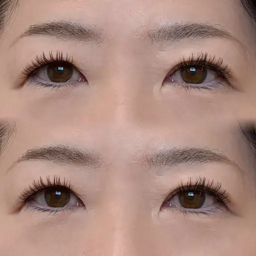 バインドロック60束🔗🖤【オフなし】