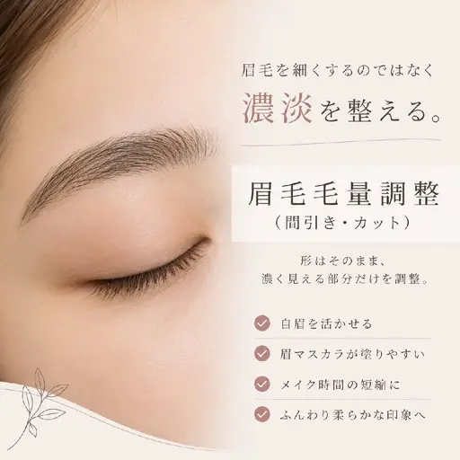 スキマ時間にすぐに垢抜け30分美容✨【間引きのみ】 眉毛の毛量調整メニュー ※眉waxはつきません