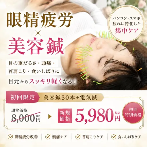 【眼精疲労特化】美容鍼×電気鍼 目の疲れ 60分 ¥5,980