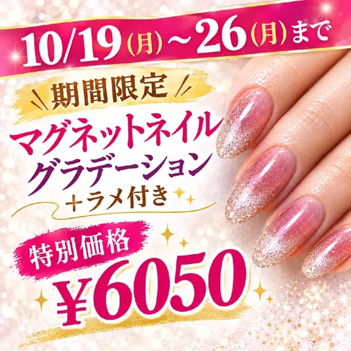 【10/19〜26の期間限定】マグネットグラデーション+ラメ付