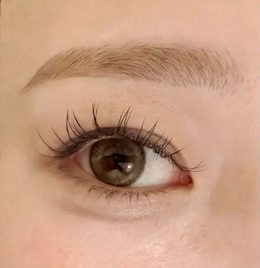 【美眉必見✨️】眉WAX+眉CUT ✃✁