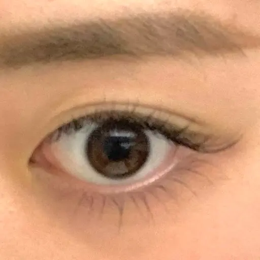 ⚠️11:00〜👀下まつ毛エクステ20~40本✨(※オフ無し)