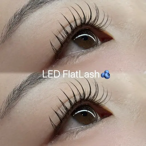 🫐LEDフラットラッシュ🫐100本<オフ込み>