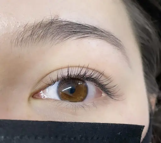女性限定🍀アイブロウWAX脱毛💖美眉スタイリング✨