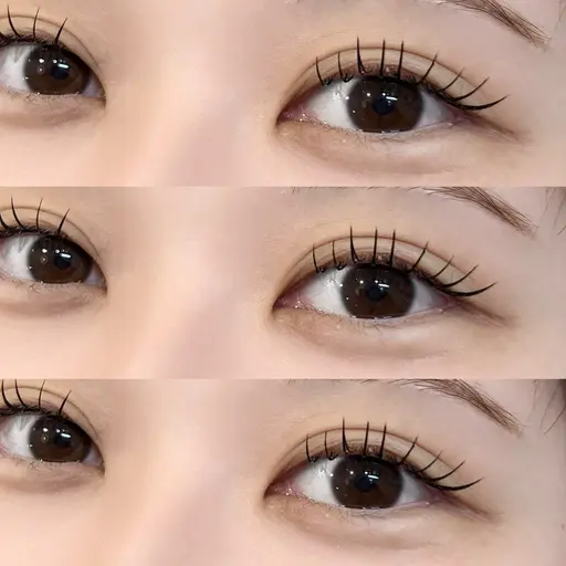 バインドロック モデル🎀100束まで