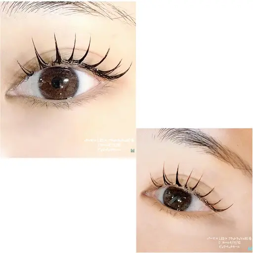 🆕パーマ×LED×フラットラッシュ80本​🩵シャンプー&TR&仕上げコーティング付⭐️（＆healthy、エクパー）