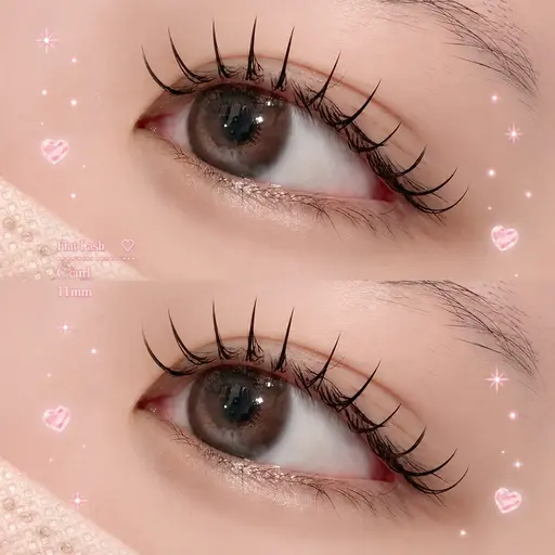 （オフなし）🧸マツエクモデル🧸フラットラッシュ（100本目安）🤎J.C.Dカール8~13ミリ🤎【現金のみ】