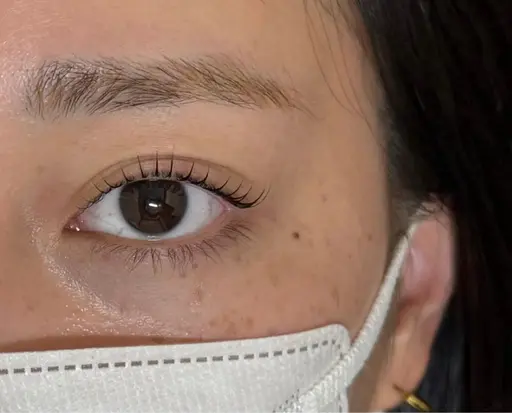【当日予約限定】LushLift まつげパーマ👀✨️ ご新規様限定🌸