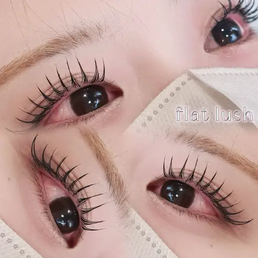 ❗️土日限定❗️🎀フラットラッシュ120本:コーティング付き🎀