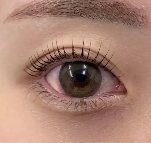 5月6月限定💫 Lash lift🫧束感コーティング仕上げ※写真撮影必須