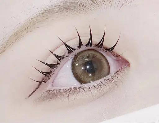 🎐✨7月限定価格🎐✨🎀韓国束間仕上げ🎀🪞パリジェンヌorラッシュリフト🪞