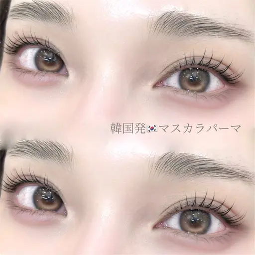 高濃度トリートメント🩵マスカラパーマ👀 ෆ ̖́-‬　パリジェンヌorパーマ🎀¥5600（コーティング付き）