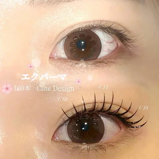 ≪♡エクパーマ100本♡≫コーティング仕上げ🪄