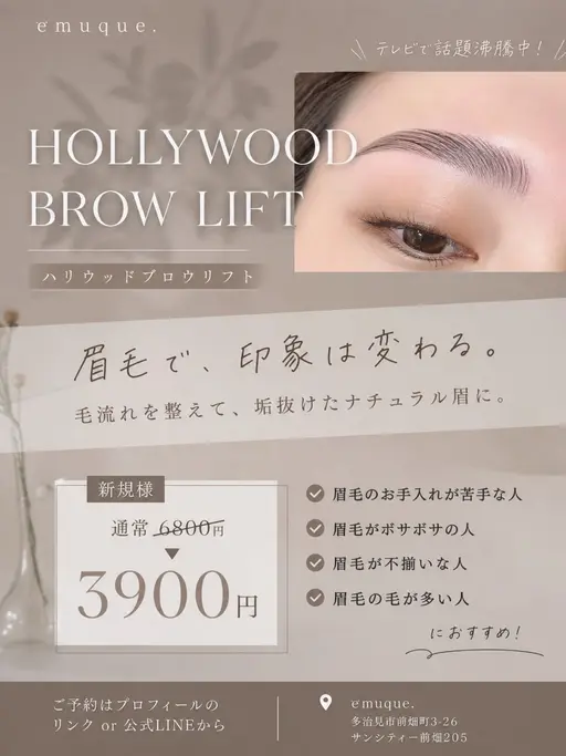 ‼️期間限定‼️ハリウッドブロウ 最安価格