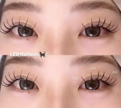 20%off‼️【 LEDエクステ💡🎀⸝⸝⸝】︎ 100本/持続力UP♡♡ 束感仕上げ/初めての方にもオススメ✨️