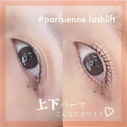 下まつげパーマのみ