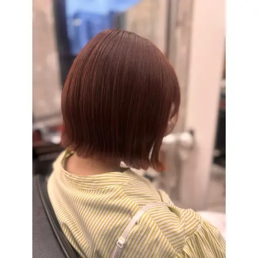 カット✂️ + カラー💙ྀི + 3STEPトリートメント🫧