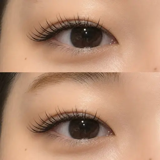 【マツエクモデル】【オフなし】セーブルorフラット100本🌸⚠️補足説明を必ずご確認ください