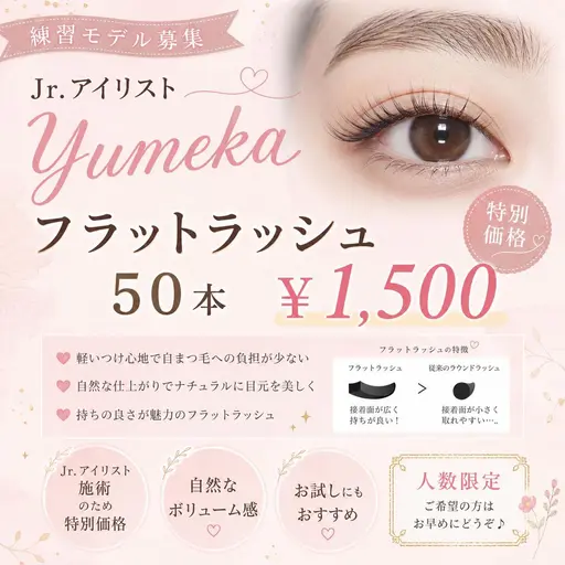 フラットラッシュ60本