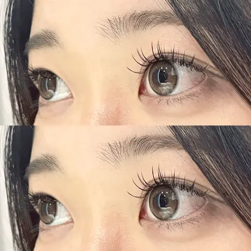 人気No.2フラットラッシュ120本+束感コーティング仕上げ🎀