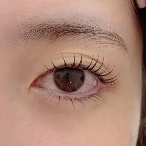 限定割引❤️‍🔥 上下↕️Lash lift🫧束感コーティング仕上げ※写真撮影必須
