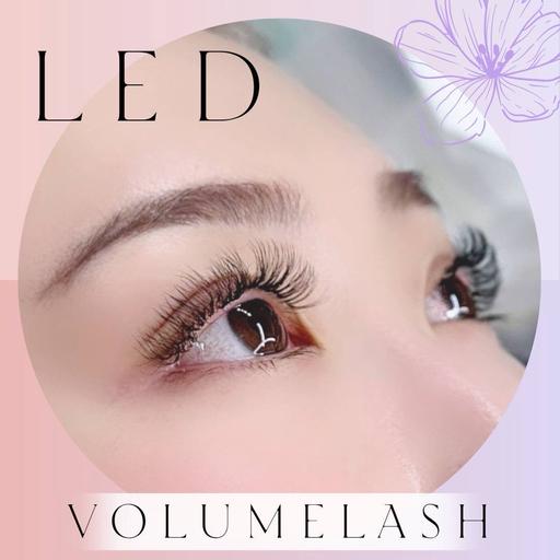 【10/27限定】LEDボリュームラッシュ❤️80束（240本）