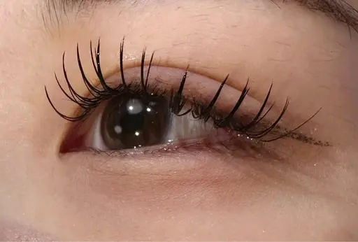 🧡カシミア🧡100本上付け放題オフ&コーティング付き