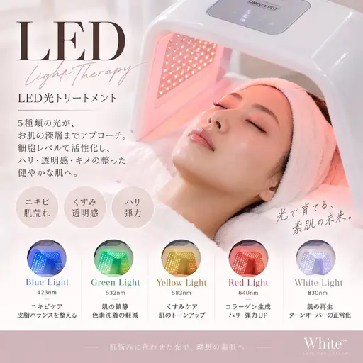 【大人気‼︎浴びる美容LED】💡✨