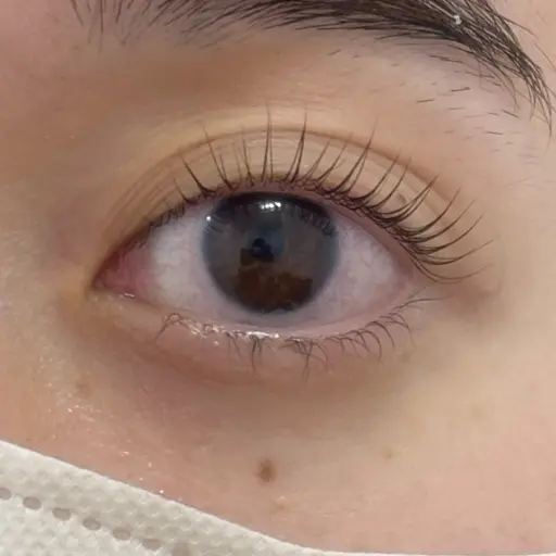 パリジェンヌラッシュリフトモデル🎀※所要時間60分程度⚠️説明欄必読‼️