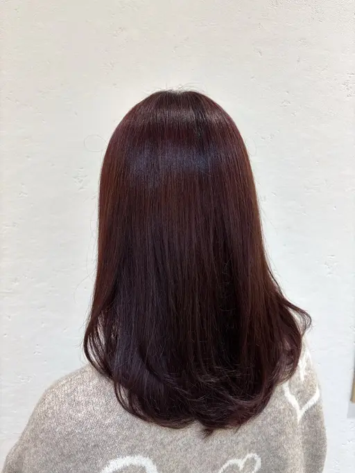 当日予約限定💁🏻♀️全メニュー20%OFF⭐️