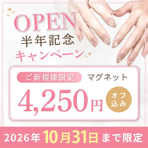 【10月限定✨平日17時まで】人気NO1!マグネットorフラッシュ/ オフ込¥5500→¥4250