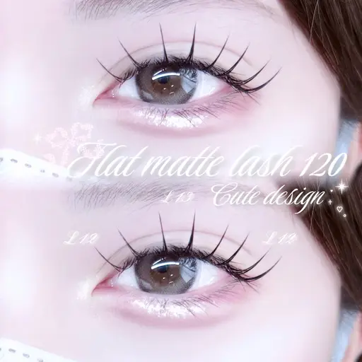 𓉘✩🧸8月限定🍂✩𓉝フラットマットラッシュL / LD 120本🫧