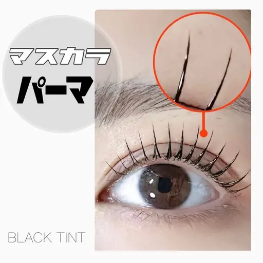 話題のマスカラパーマ(ブラックティント🖤)漆黒が長続き🤍パリジェンヌもok✨濃さを出したい方🙆♀️