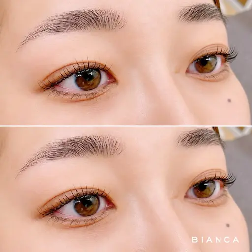 美眉✨アイブロウスタイリング+まつげパーマ(上)セットメニュー⛓️🦋⟡.· [荻窪/阿佐ヶ谷/高円寺]