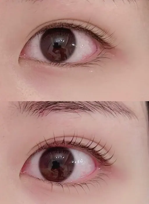 まつげパーマ✨️上下